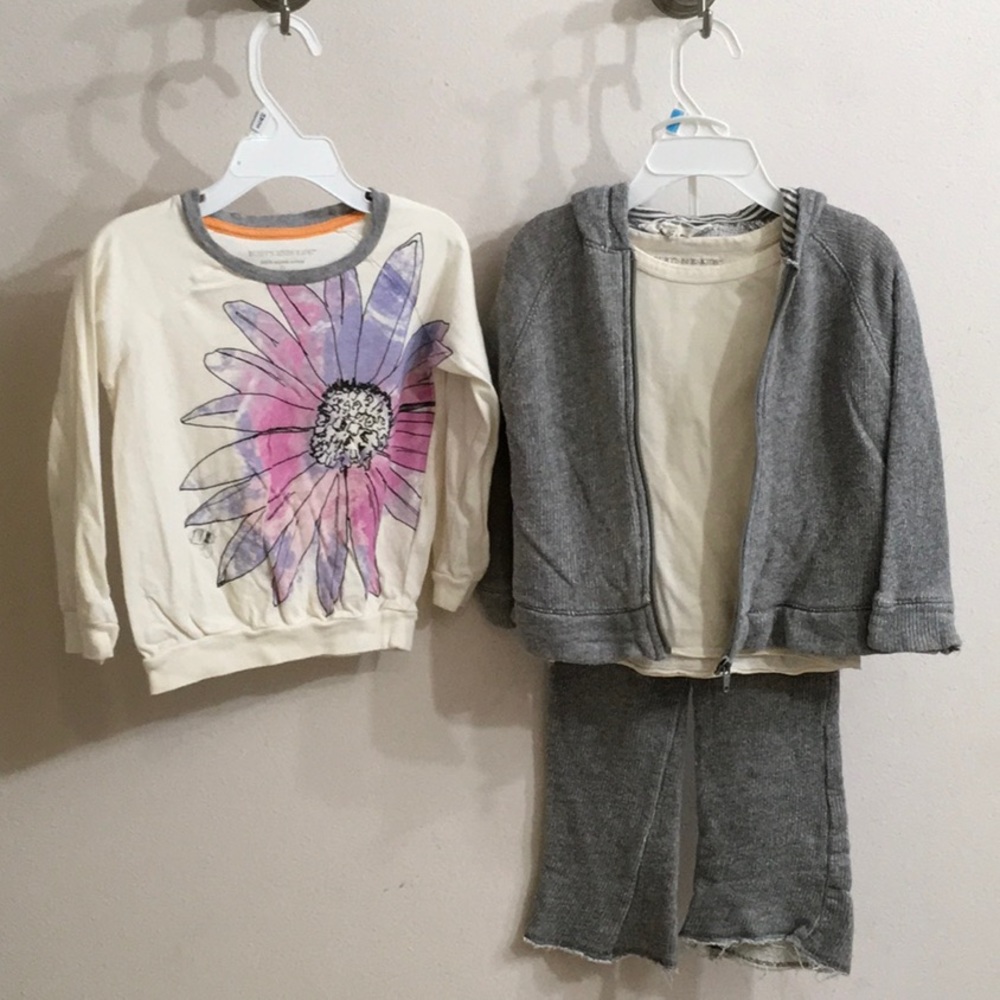 Burt’s Bees Kids Girl 3T Organic Gray Hoodie & Pants, Purple Watercolor Flower